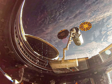 Видео сток Adobe Stock